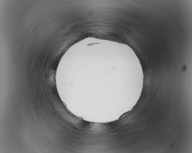 X0000115730141200912101501