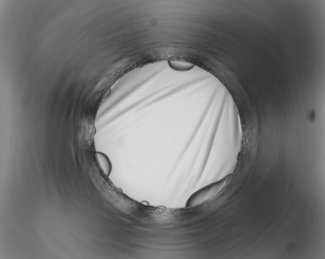 X0000115730142200912101501
