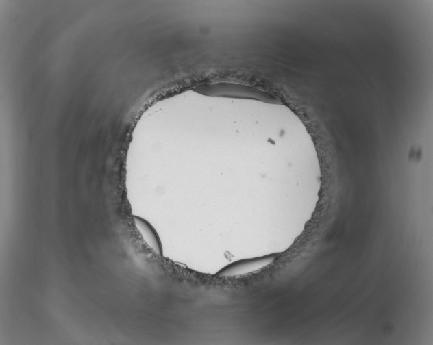 X0000115730144200912101501