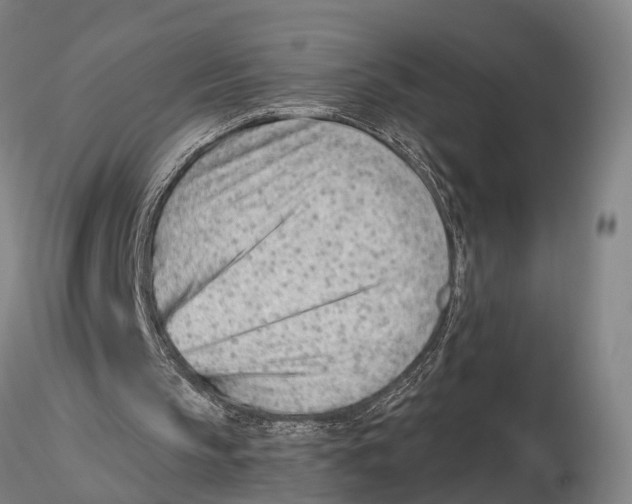 X0000115730145200912101500