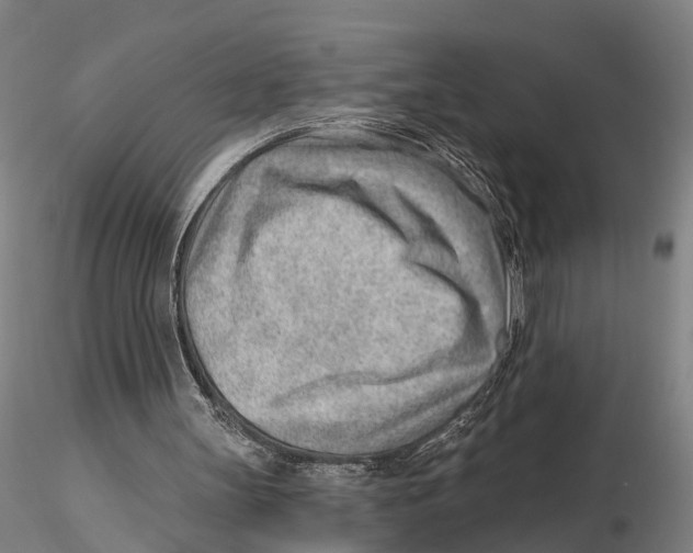 X0000115730147200912101500