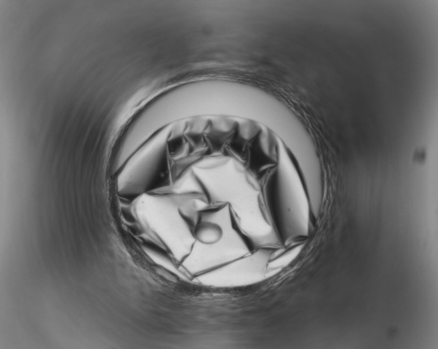 X0000115730150200912101500