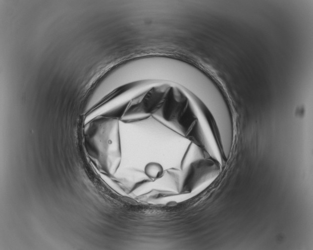 X0000115730154200912101500