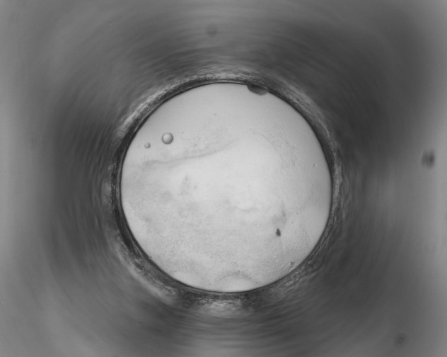 X0000115730155200912101500