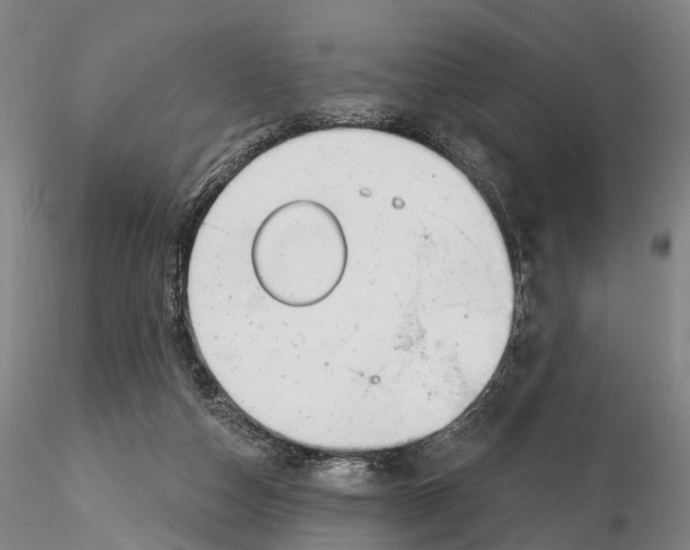 X0000115730162200912101500