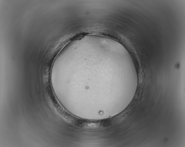 X0000115730163200912101500