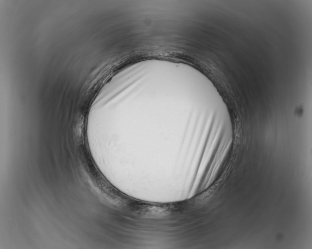 X0000115730166200912101500