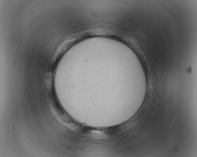 X0000115730167200912101500