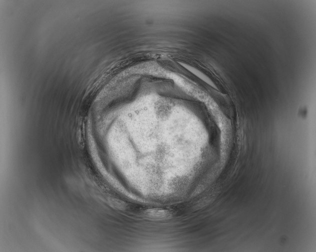 X0000115730169200912101500