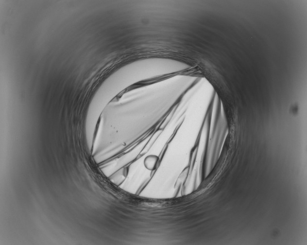 X0000115730170200912101500