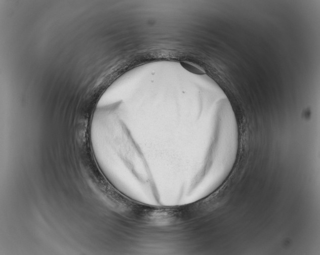 X0000115730171200912101500