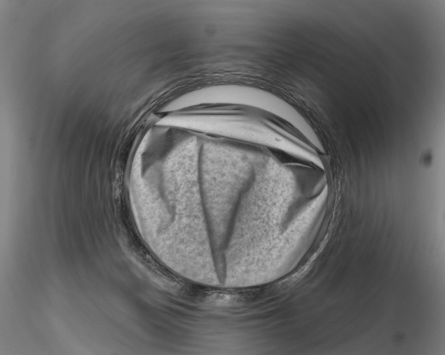 X0000115730174200912101500