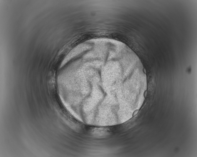 X0000115730179200912101500