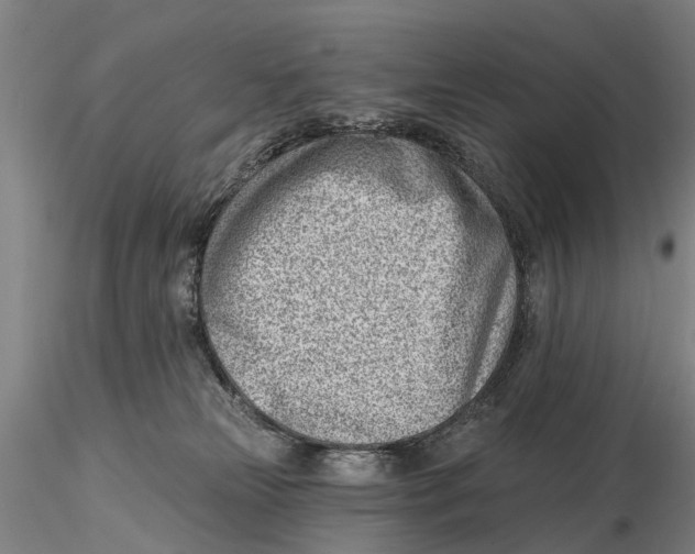 X0000115730181200912101500