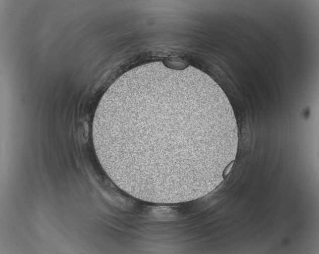 X0000115730183200912101500