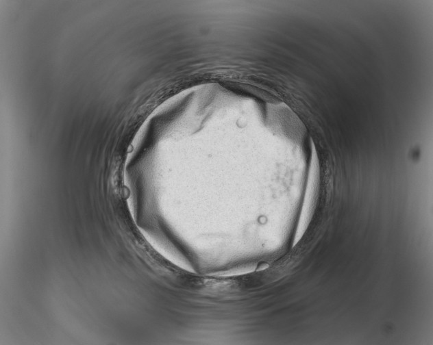 X0000115730185200912101500