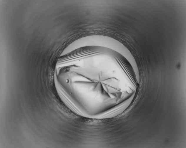 X0000115730186200912101500