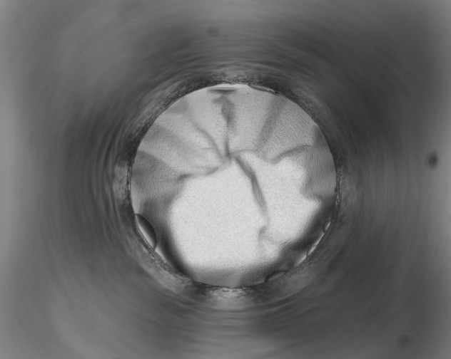 X0000115730189200912101501