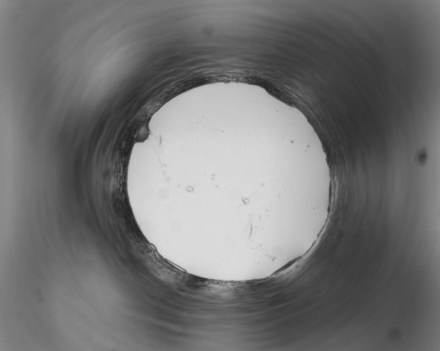 X0000115730190200912101501