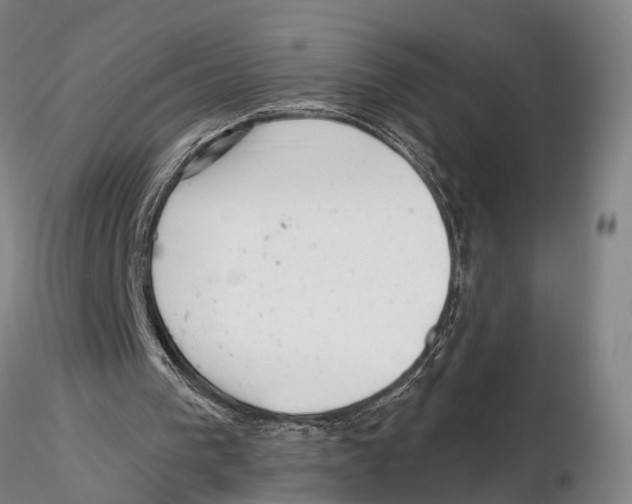 X0000115730193200912101500