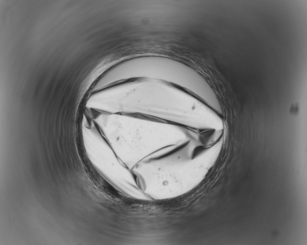 X0000115730195200912101500