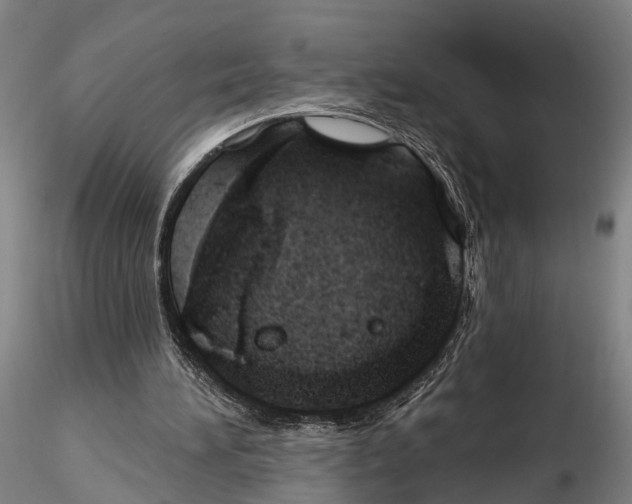 X0000115730196200912101500
