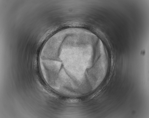 X0000115730202200912101500