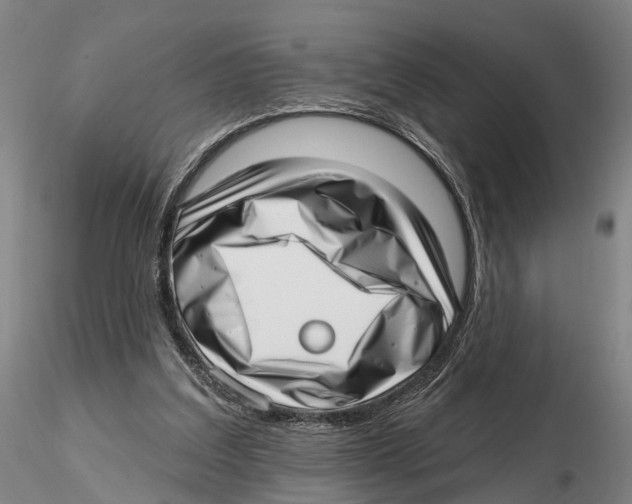 X0000115730203200912101500