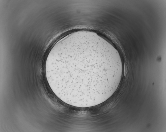 X0000115730204200912101500