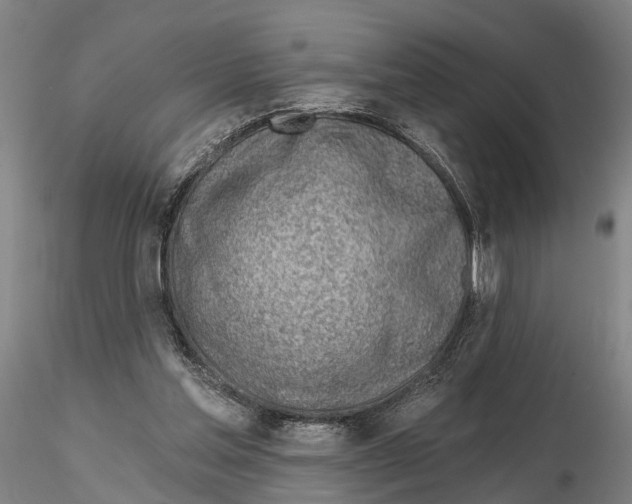 X0000115730205200912101500