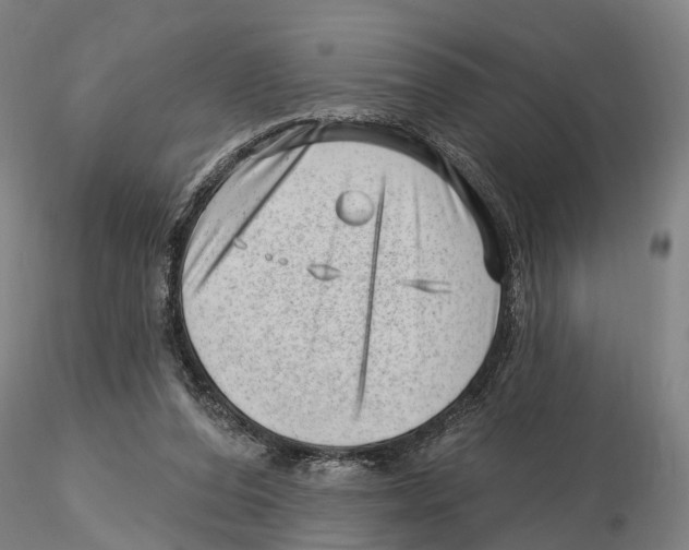 X0000115730208200912101500