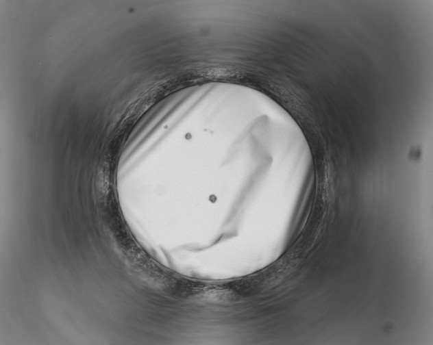 X0000115730210200912101500