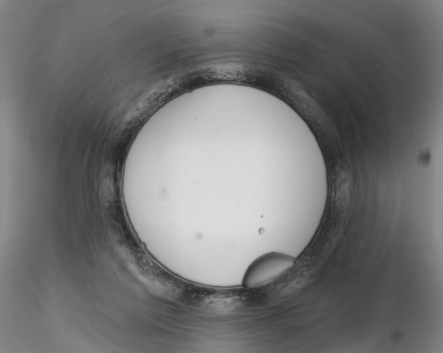 X0000115730213200912101459