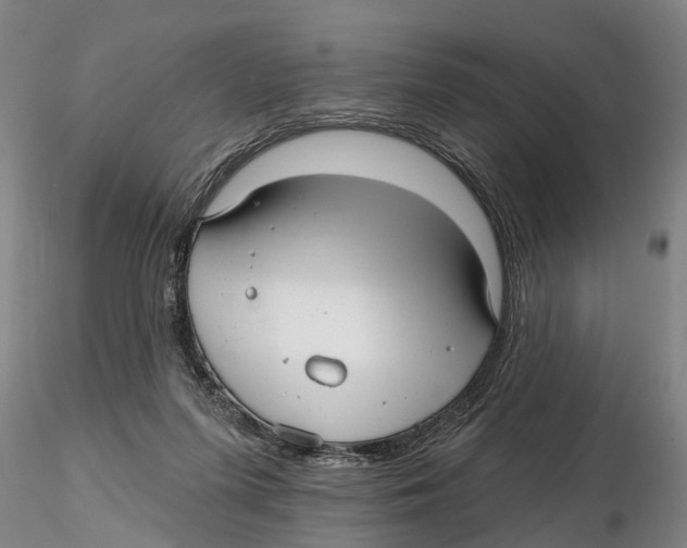 X0000115730215200912101459