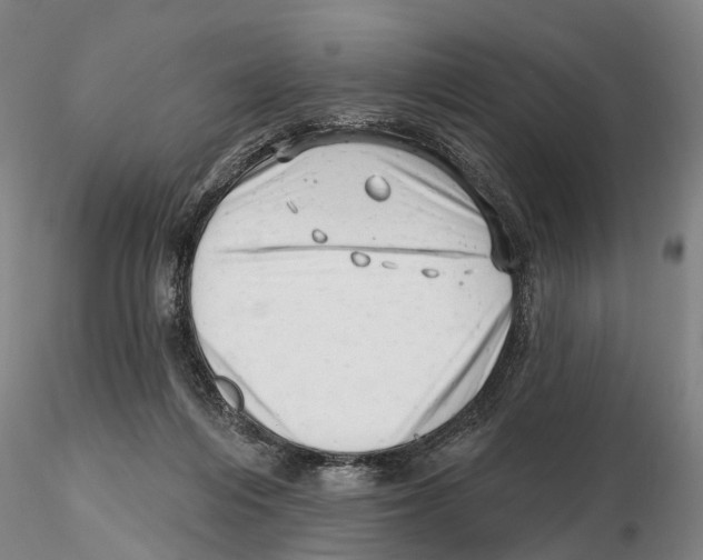 X0000115730216200912101459