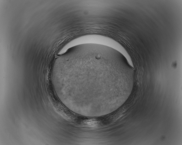 X0000115730219200912101459