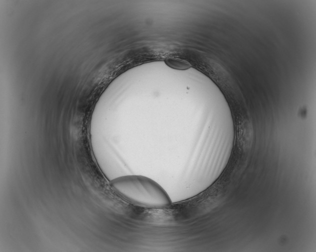 X0000115730221200912101459