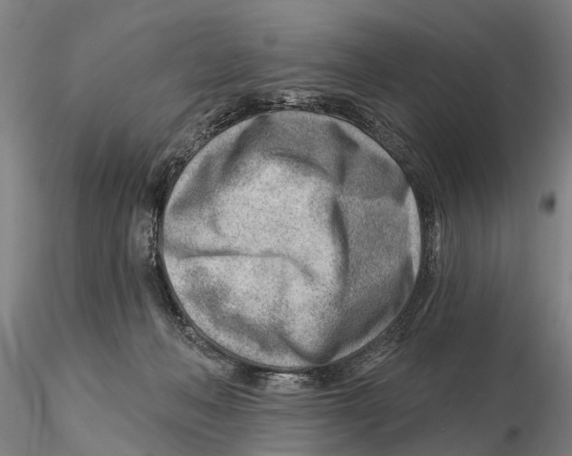 X0000115730222200912101459