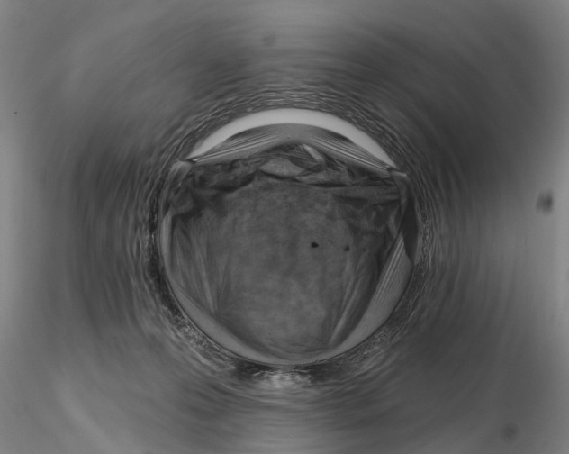 X0000115730223200912101459