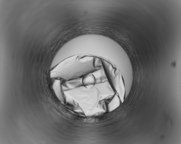 X0000115730225200912101459
