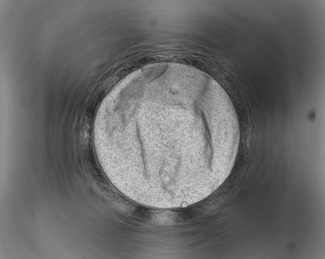X0000115730226200912101459