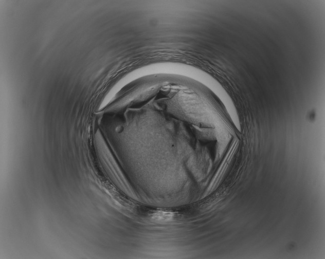 X0000115730227200912101459