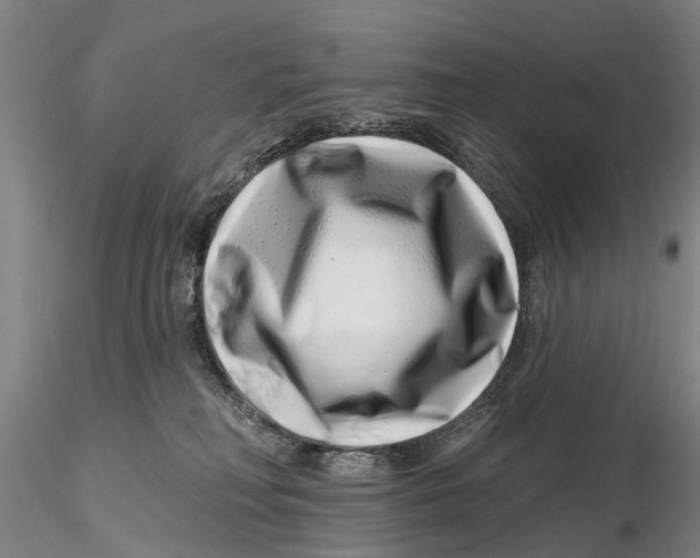 X0000115730230200912101459