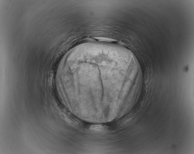 X0000115730231200912101459