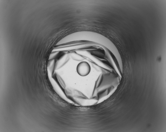 X0000115730233200912101459