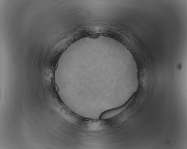 X0000115730235200912101459