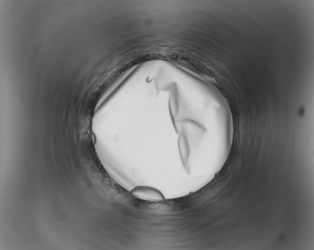 X0000115730236200912101459