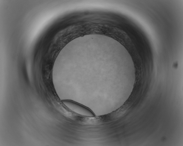 X0000115730239200912101459