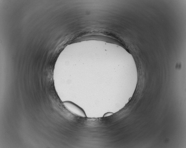 X0000115730240200912101459