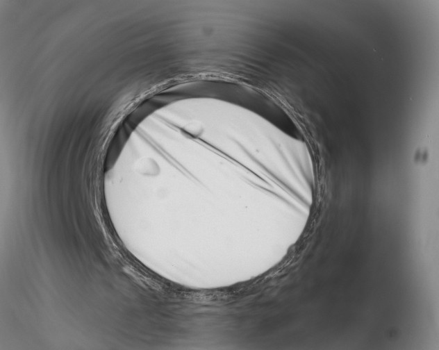 X0000115730241200912101458